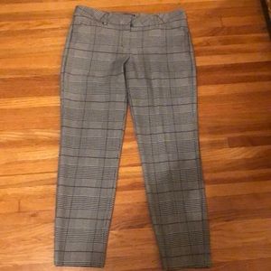 Express editor patterned pants